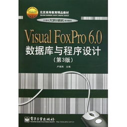 《Visual FoxPro 6.0数据库与程序设计》（第3版）—— 21世纪大学计算机规划与北京高等教育精品教材深度解析