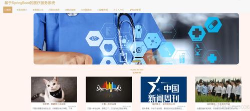 SpringBoot计算机毕业设计 基于微服务的医疗服务系统全栈开发实践